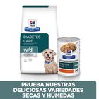 Hill's Prescription Diet Diabetes Care Frango ração para cães, , large image number null